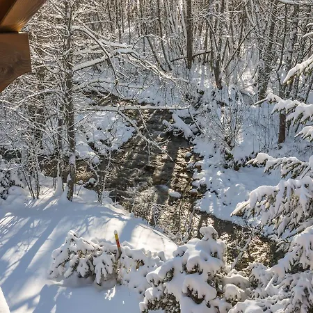 Eisstock Chalet